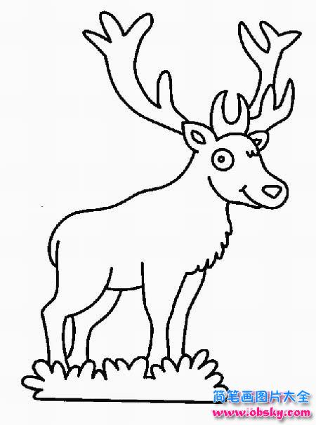 幼儿圣诞节麋鹿简笔画图片