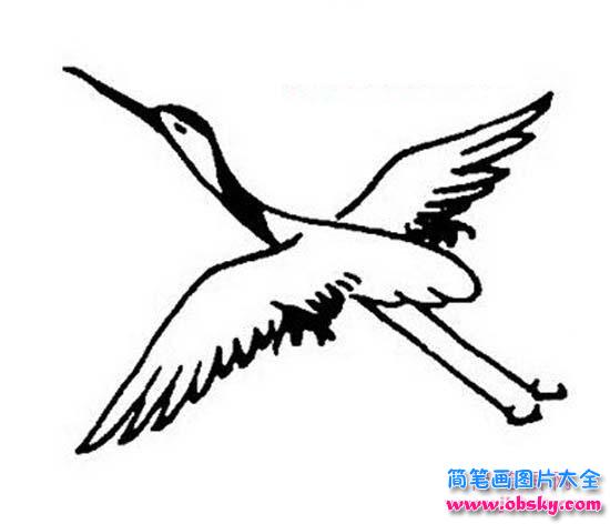 空中飞翔的丹顶鹤简笔画图片