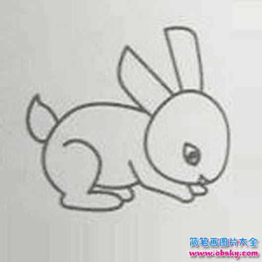 幼儿园兔子简笔画