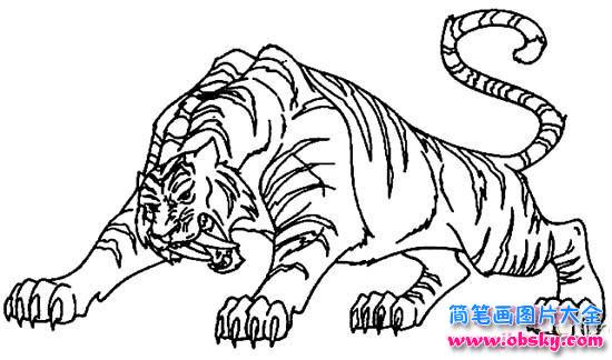 凶猛的老虎简笔画