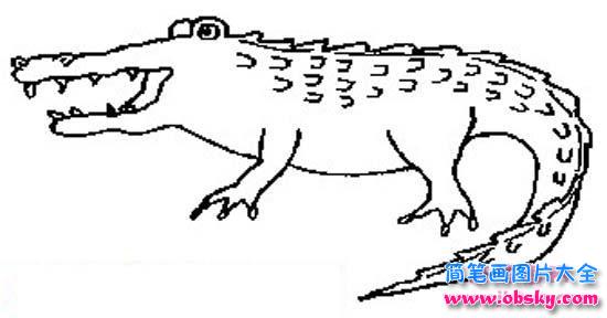 凶恶的大鳄鱼简笔画图片