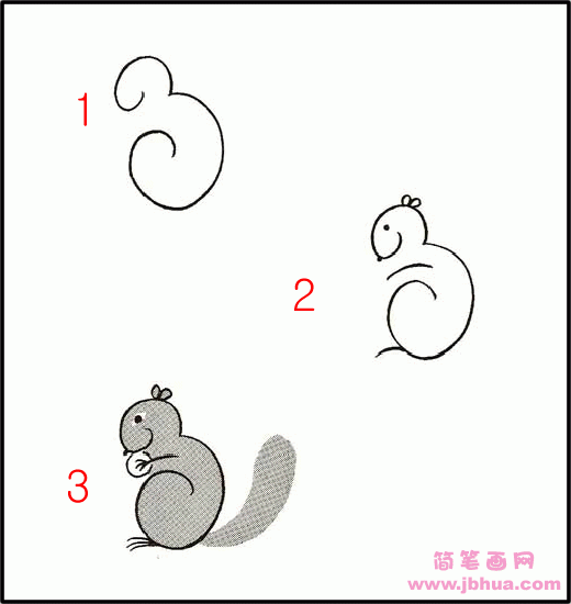 松鼠简笔画画法步骤:如何画松鼠