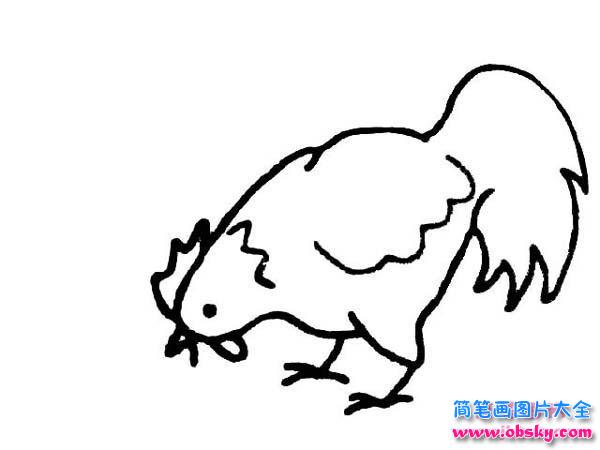 啄米的母鸡简笔画