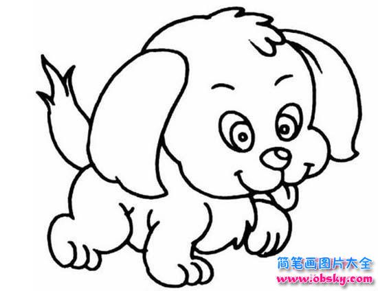 泰迪狗简笔画图片