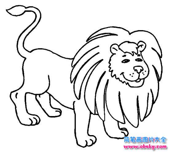 幼儿简笔画：大狮子