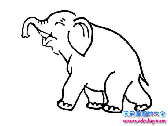 儿童大象简笔画图片