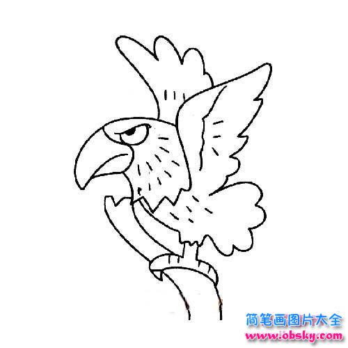 儿童简笔画：枝头上的老鹰