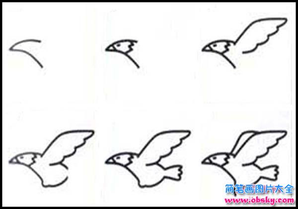 儿童关于老鹰的简笔画画法教程