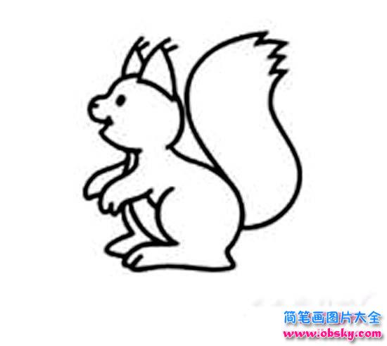 儿童关于松鼠的简笔画图片