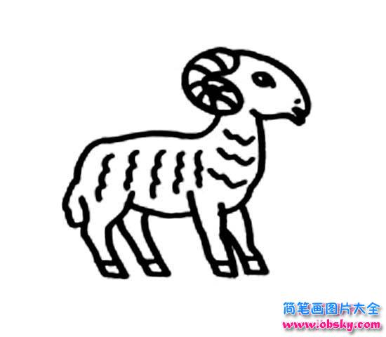 儿童羊简笔画图片