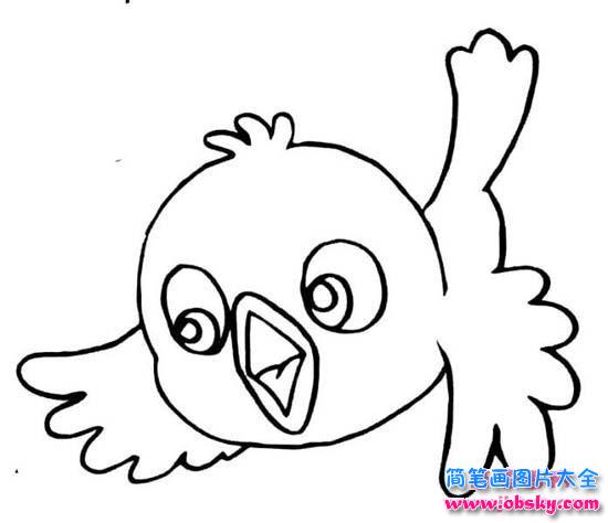 可爱的小鸟简笔画图片