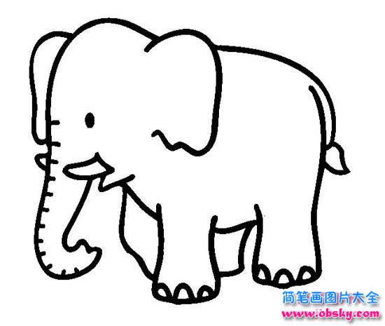 幼儿简笔画：大象