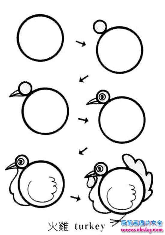 儿童关于火鸡的简笔画画法步骤：怎么画火鸡