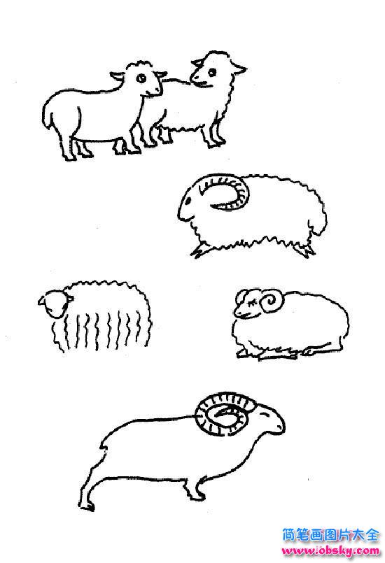 各种羊的简笔画大全