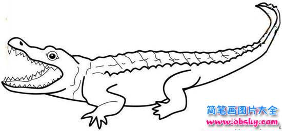 张大嘴的鳄鱼简笔画图片