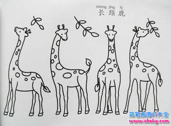 长颈鹿简笔画大全