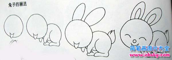 兔子简笔画画法