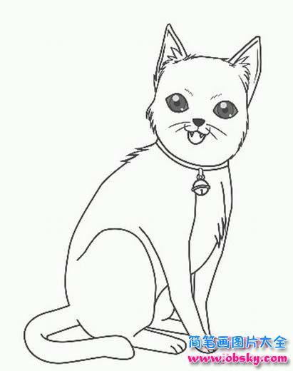 儿童动物简笔画：猫