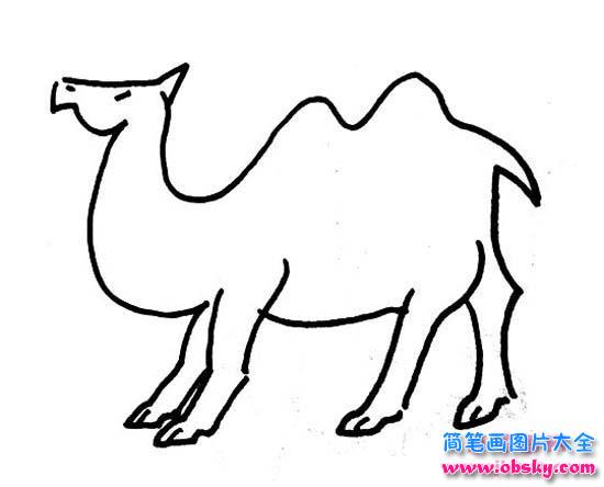 幼儿园骆驼简笔画图片