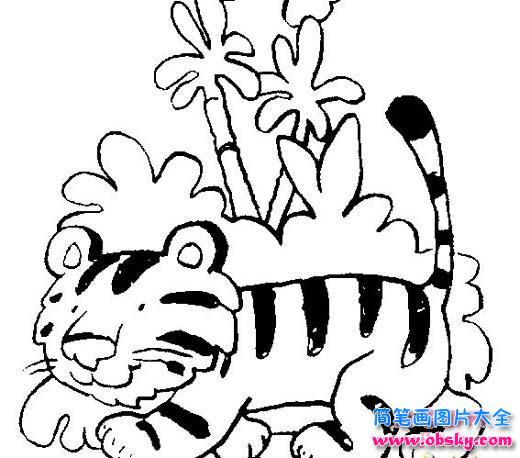 儿童老虎简笔画图片