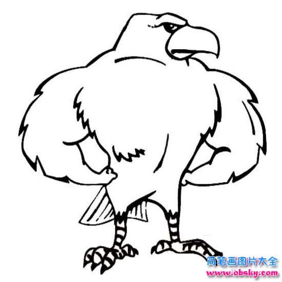 卡通老鹰简笔画图片:强壮的老鹰