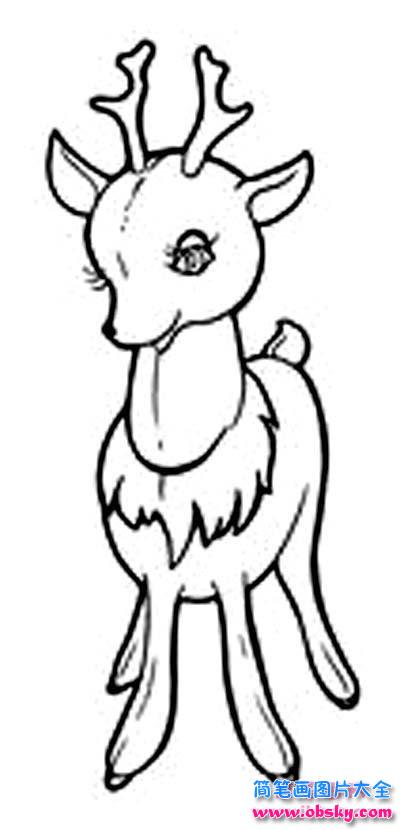 鹿的正面简笔画图片