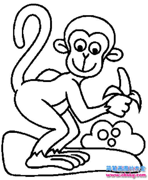 儿童简笔画：吃香蕉的猴子