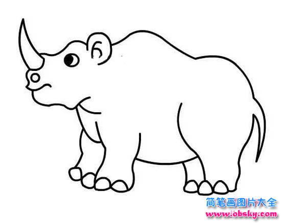 少儿犀牛简笔画图片