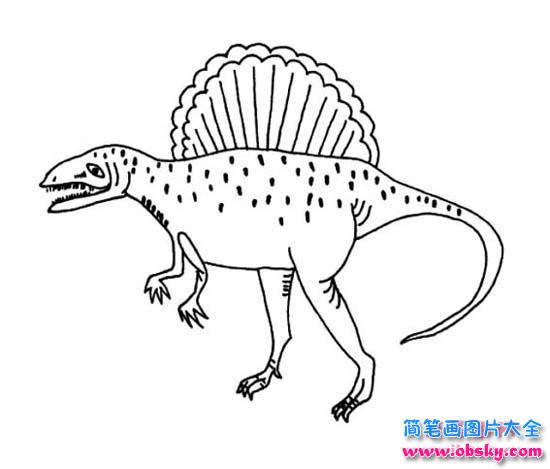 小学生恐龙简笔画图片:棘龙