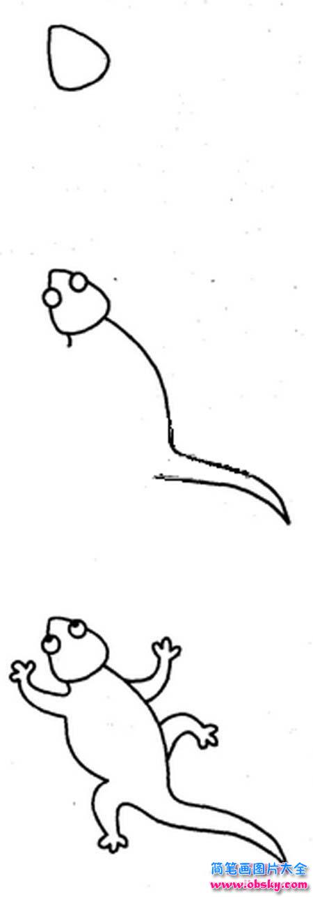 蜥蜴简笔画画法步骤：怎么画蜥蜴