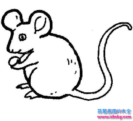 儿童老鼠简笔画图片