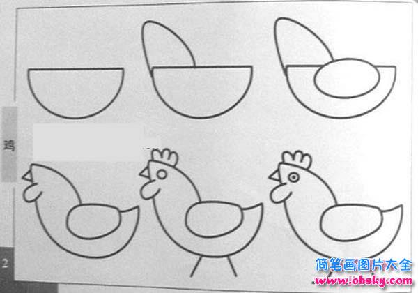 鸡的简笔画画法
