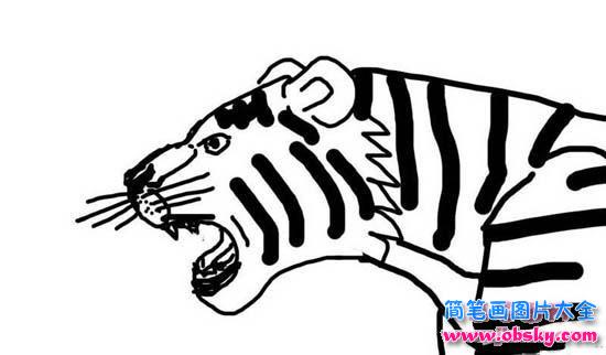 凶猛老虎头像简笔画