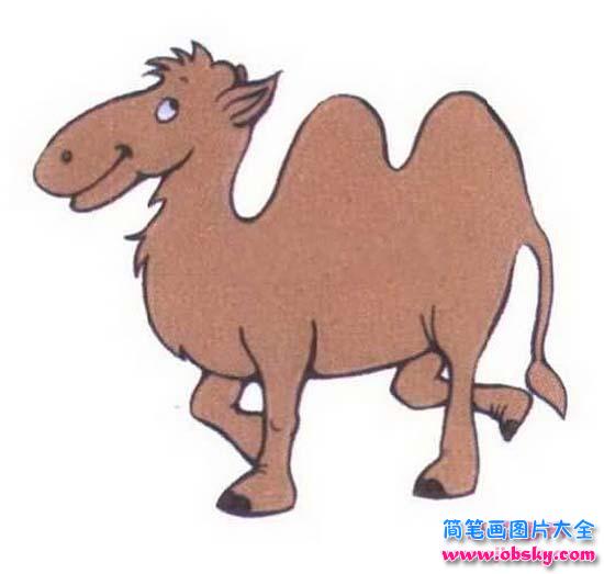 儿童彩色骆驼简笔画图片