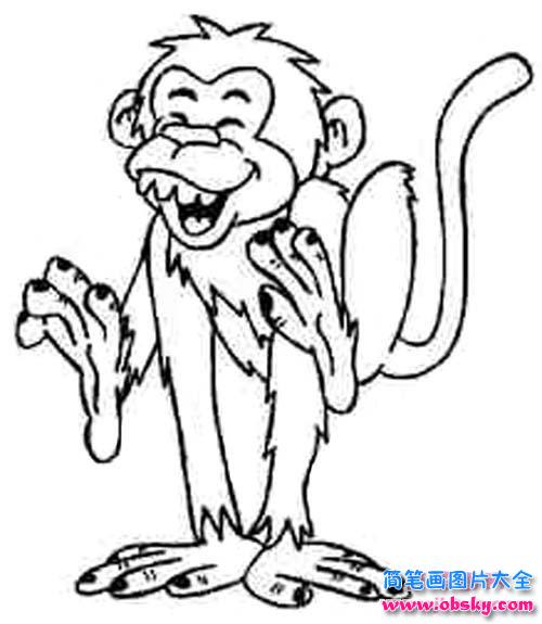 幼儿猴子简笔画：哈哈大笑的猴子