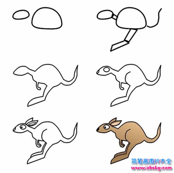 袋鼠的简笔画画法步骤:怎么画袋鼠