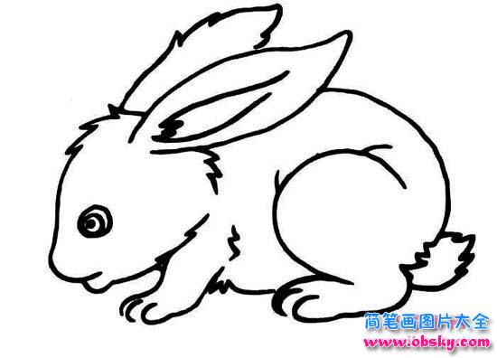 兔子简笔画图片