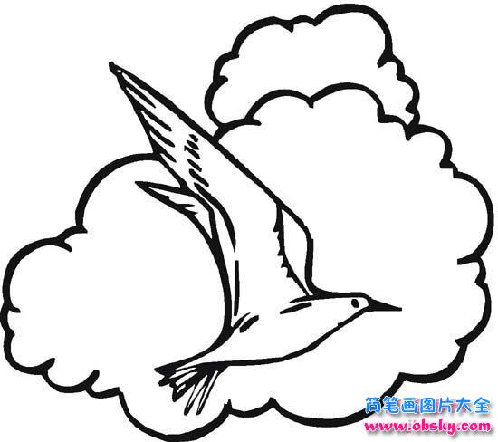 少儿关于云中海鸥简笔画图片
