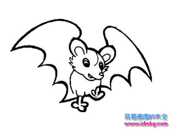 儿童蝙蝠简笔画图片
