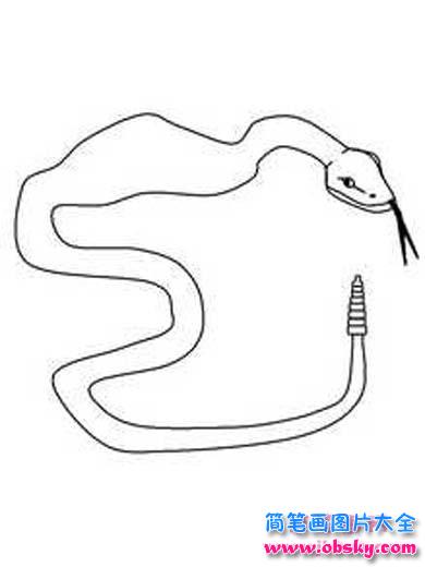 动物简笔画：蛇
