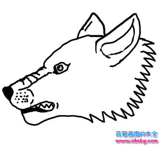 狼头简笔画图片