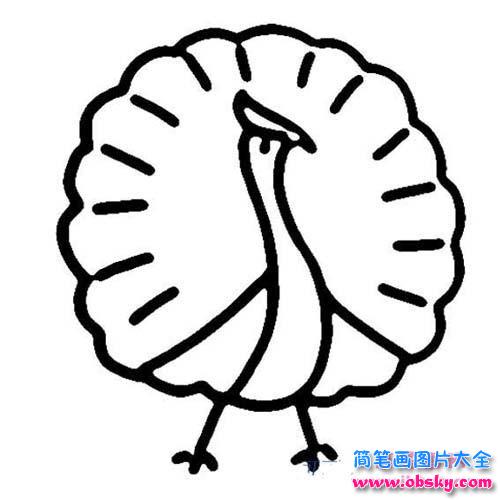 幼儿关于开屏的孔雀简笔画图片