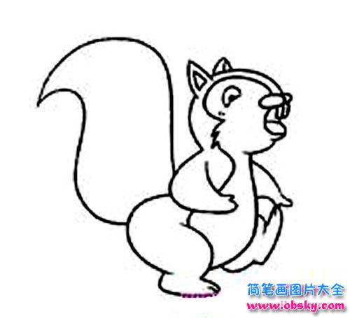 儿童简笔画大全：松鼠