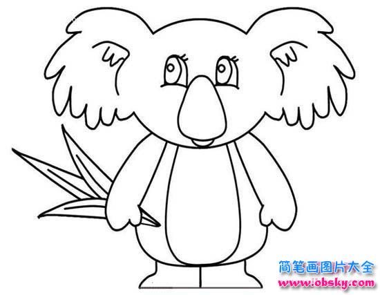 儿童考拉简笔画图片