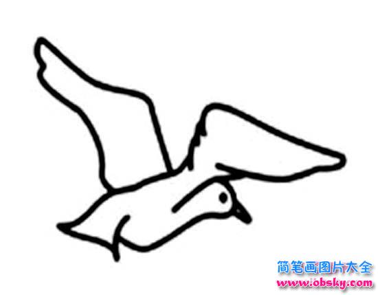 天空飞行的海鸥简笔画图片