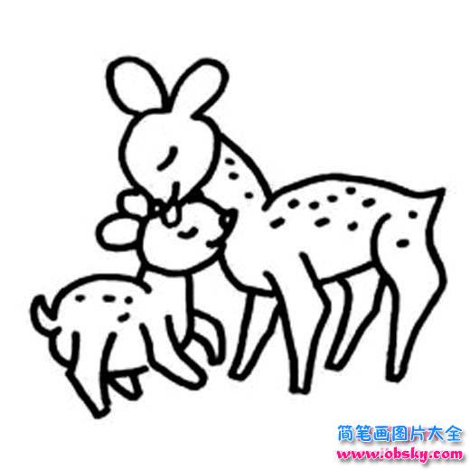 小学生简笔画鹿图片：鹿妈妈与小鹿