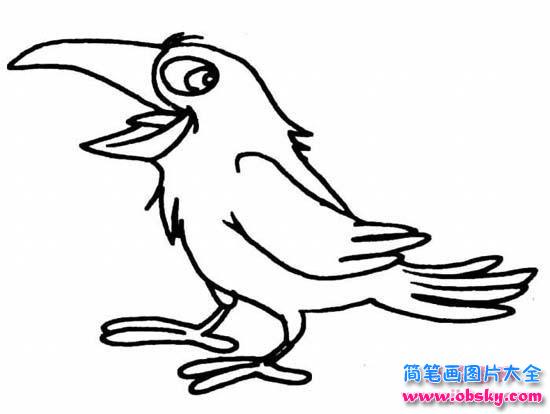 儿童动物简笔画图片：啼叫的乌鸦