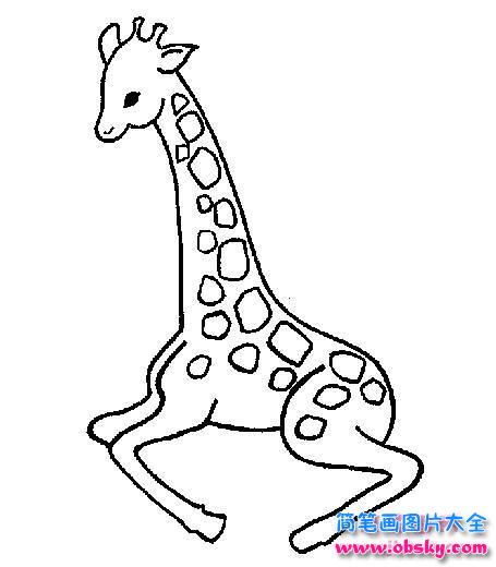 蹲在地上的小长颈鹿简笔画