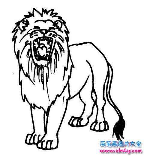 小学生关于狮子咆哮简笔画图片