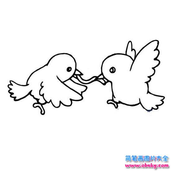 争吃虫子的两只小鸟简笔画
